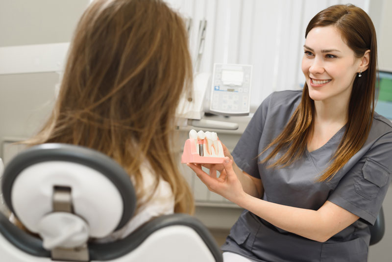 a dental assistant showing a patient a dental implant model